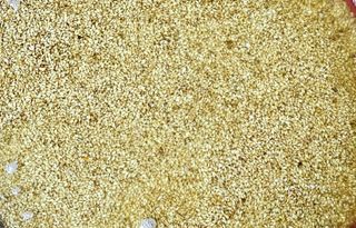 장연송님의 작성글 사진