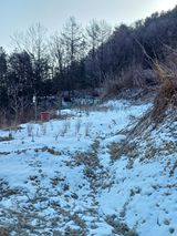 팜모닝 두릅·영농일지 게시글 이미지