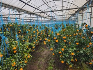 조상균님의 출석결과 자랑하기 · 참여글 작성글 사진