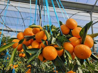 조상균님의 출석결과 자랑하기 · 참여글 작성글 사진