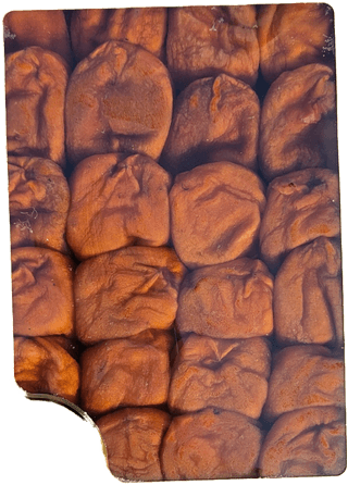 백조스타님의 출석결과 자랑하기 · 참여글 작성글 사진