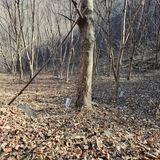 팜모닝 1월 내 작물 자랑하기·참여글 게시글 이미지