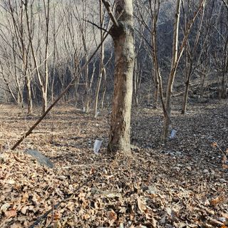 정완희 님의 1월 내 작물 자랑하기 · 참여글 작성글 사진