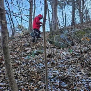 정완희 님의 1월 내 작물 자랑하기 · 참여글 작성글 사진