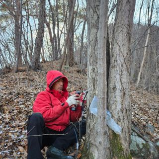 정완희 님의 1월 내 작물 자랑하기 · 참여글 작성글 사진