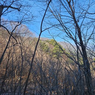 정완희 님의 1월 내 작물 자랑하기 · 참여글 작성글 사진