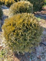 팜모닝 자유주제·자유게시판 게시글 이미지