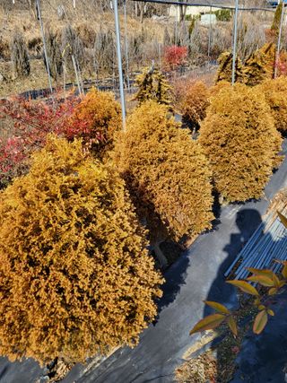 김옥균 님의 자유주제 · 자유게시판 작성글 사진