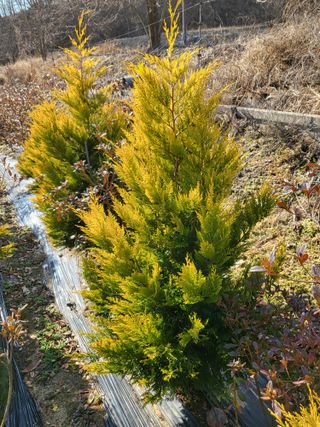 김옥균 님의 자유주제 · 자유게시판 작성글 사진