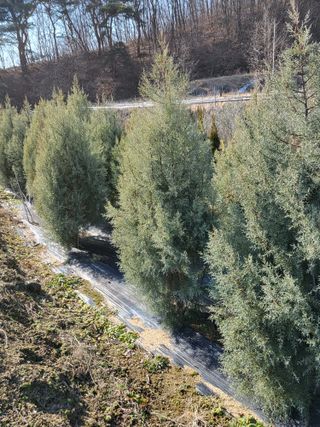 김옥균 님의 자유주제 · 자유게시판 작성글 사진