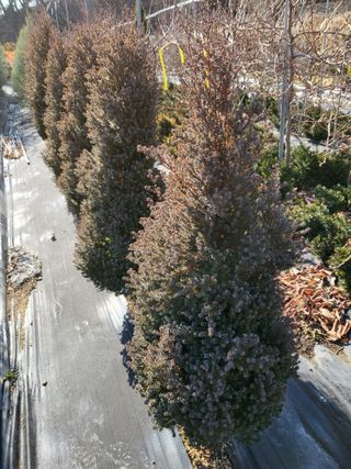 김옥균 님의 자유주제 · 자유게시판 작성글 사진