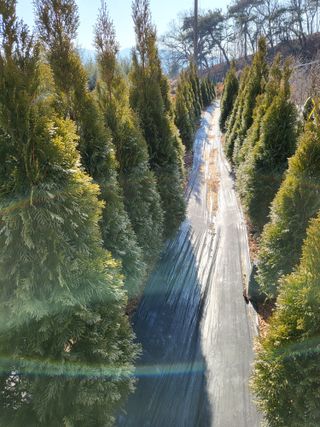 김옥균 님의 자유주제 · 자유게시판 작성글 사진