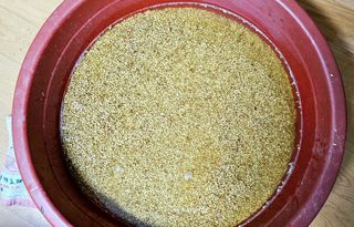 장연송님의 작성글 사진