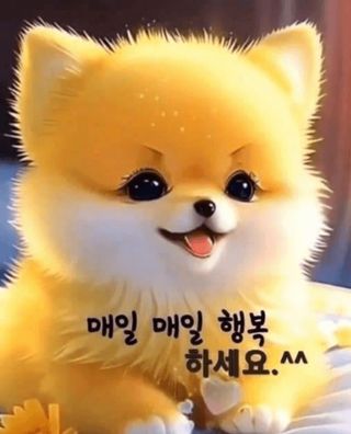 이원영님의 출석결과 자랑하기 · 참여글 작성글 사진