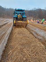 팜모닝 1월 내 작물 자랑하기·참여글 게시글 이미지