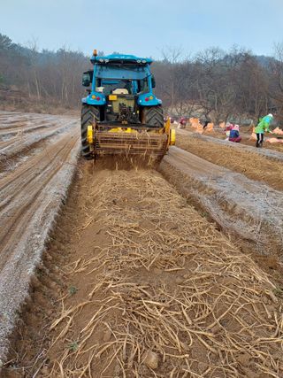 김동식님의 1월 내 작물 자랑하기 · 참여글 작성글 사진