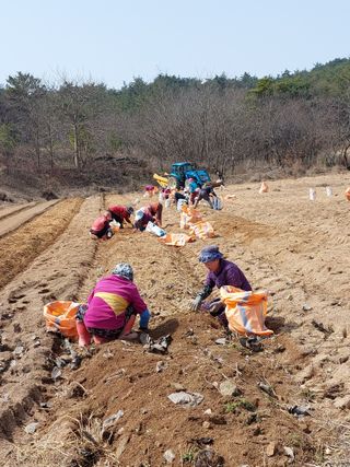 김동식님의 1월 내 작물 자랑하기 · 참여글 작성글 사진
