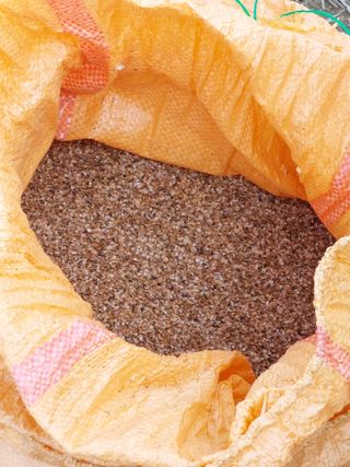 김동식님의 1월 내 작물 자랑하기 · 참여글 작성글 사진