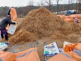 김동식님의 1월 내 작물 자랑하기 · 참여글 작성글 사진