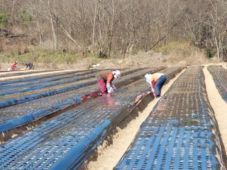 김동식님의 1월 내 작물 자랑하기 · 참여글 작성글 사진