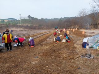 김동식님의 1월 내 작물 자랑하기 · 참여글 작성글 사진