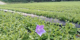 김동식님의 출석결과 자랑하기 · 참여글 작성글 사진