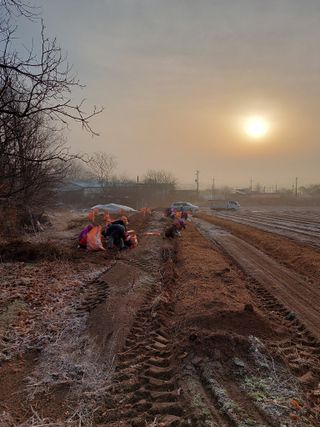 김동식님의 출석결과 자랑하기 · 참여글 작성글 사진