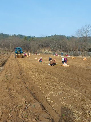 김동식님의 출석결과 자랑하기 · 참여글 작성글 사진