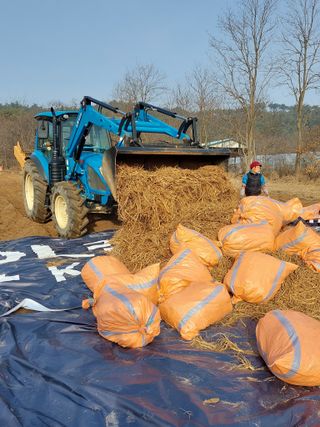 김동식님의 출석결과 자랑하기 · 참여글 작성글 사진