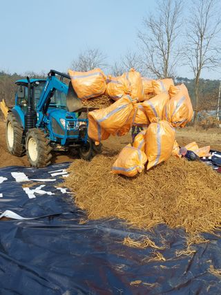 김동식님의 출석결과 자랑하기 · 참여글 작성글 사진