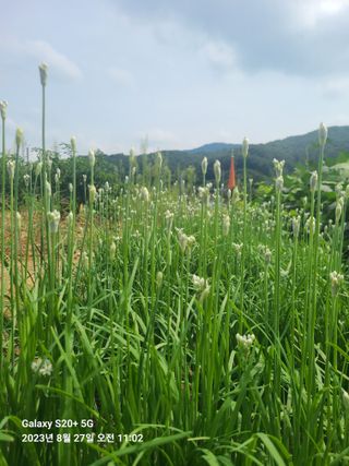 준식님의 출석결과 자랑하기 · 참여글 작성글 사진