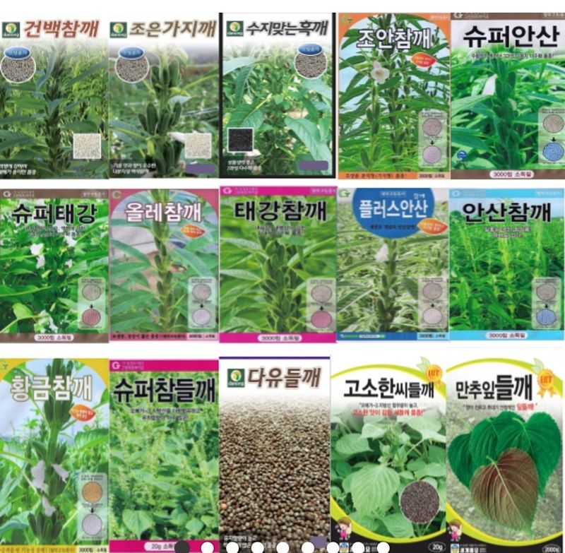 장터 상품 [참깨  슈퍼안산 조은참깨 들깨씨] 썸네일