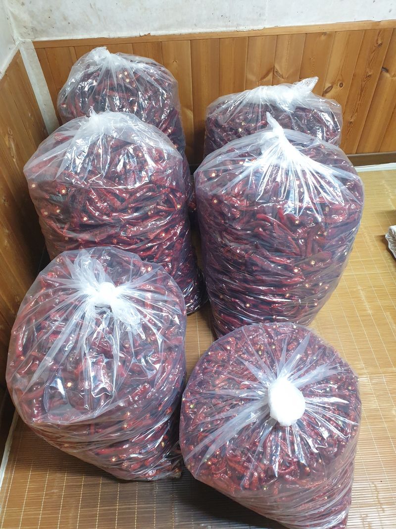 장터 상품 [고추가루600그람] 썸네일