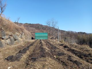 한골머스마님의 들깨 · 영농일지 작성글 사진