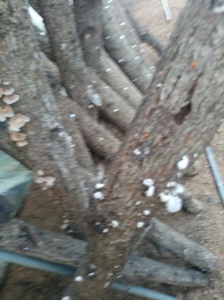 산들농장님의 자유주제 · 자유게시판 작성글 사진