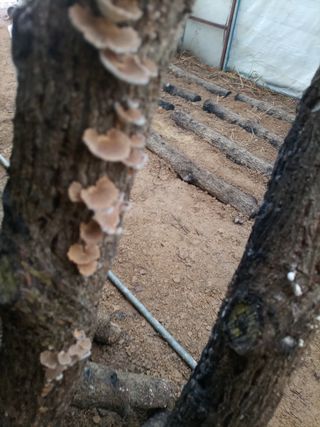 산들농장님의 자유주제 · 자유게시판 작성글 사진