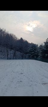 팜모닝 자유주제·자유게시판 게시글 이미지