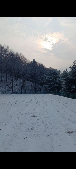 박해복님의 자유주제 · 자유게시판 작성글 사진