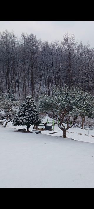 박해복님의 자유주제 · 자유게시판 작성글 사진
