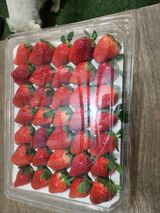 팜모닝 출석결과 자랑하기·참여글 게시글 이미지