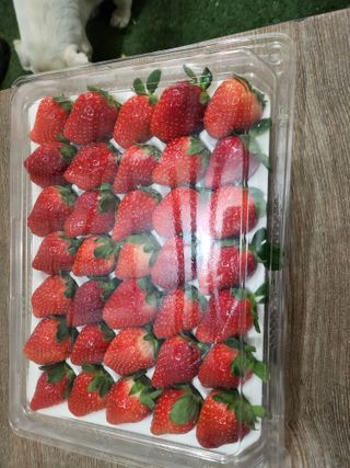 덕촌농원님의 출석결과 자랑하기·참여글 작성글 사진