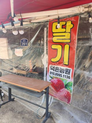 덕촌농원님의 출석결과 자랑하기 · 참여글 작성글 사진