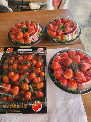 덕촌농원님의 출석결과 자랑하기 · 참여글 작성글 사진