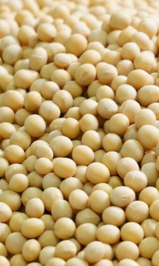 신동익님의 작성글 사진