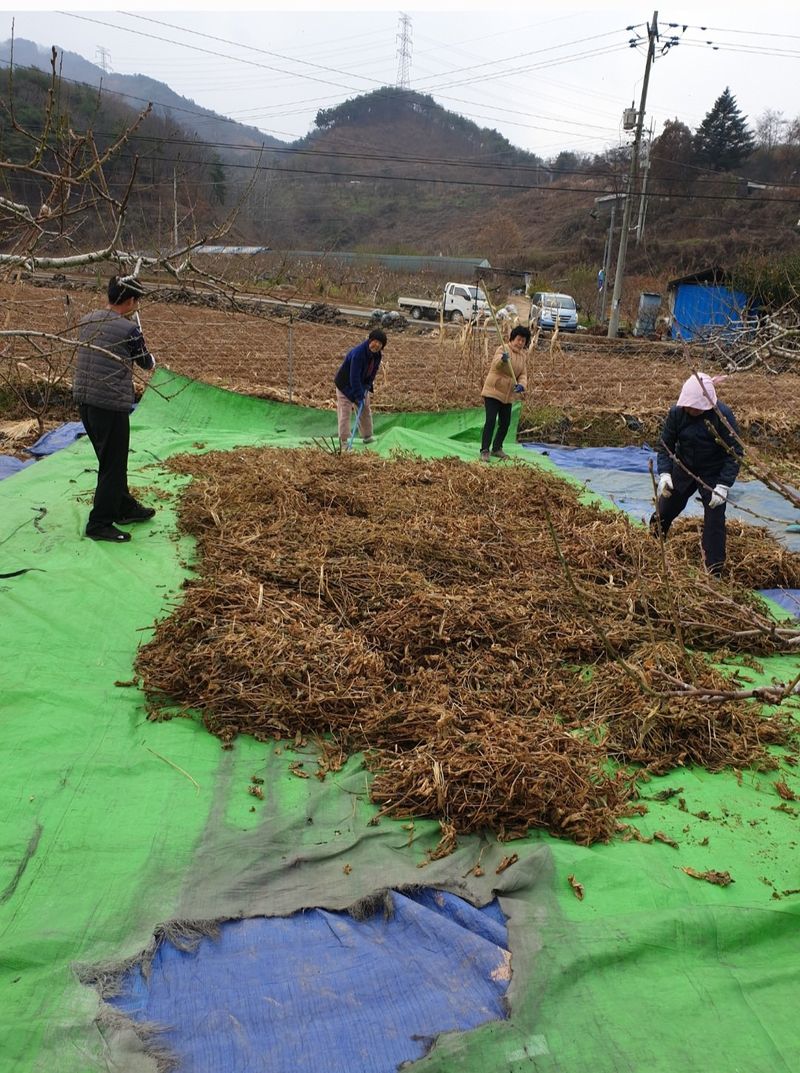 신동익님의 장터 판매 상품 [메주] 첨부 사진