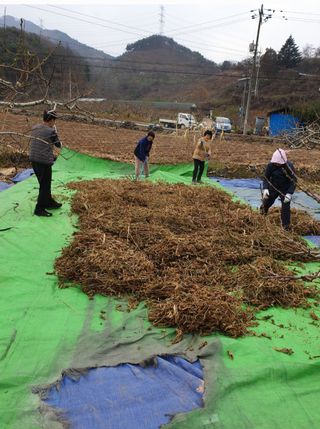 신동익님의 작성글 사진