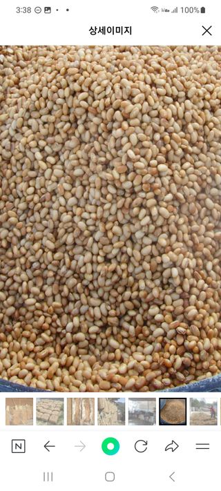 신동익님의 작성글 사진