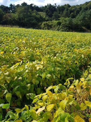 신동익님의 작성글 사진