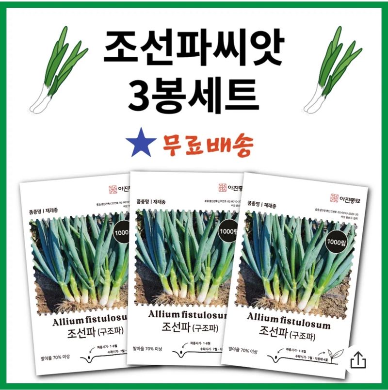 장터 상품 [조선파 (구조파) 씨앗 1000립 3봉세트] 썸네일