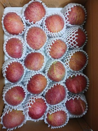 다나농원 이진우님의 작성글 사진